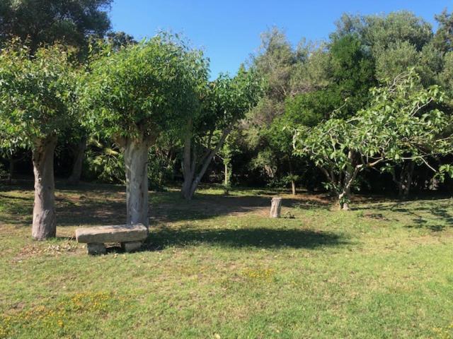 Civico34 House 3 - I Giardini Dell'Ancora Villa Stintino Buitenkant foto